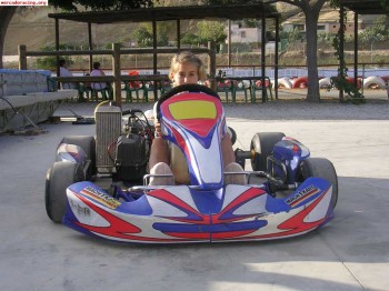 Cambio kart de competición por saxo vts ó 106 rally