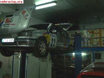 Clio willlyans gr. a