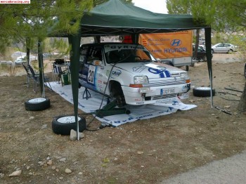 Renault 5 rally