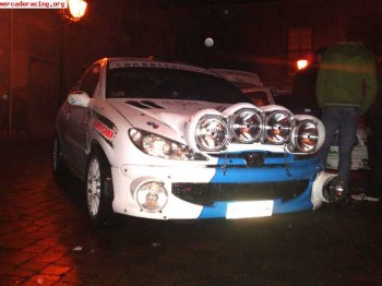 Se vende o se cambia por clio, sport,cup. (rallyes) (206 gru