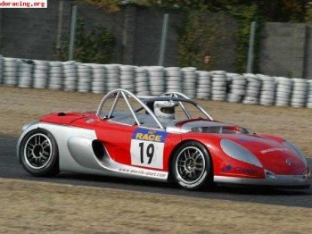 Renault spider