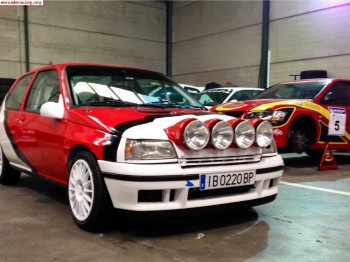 Agr competicion vende o alquila clio williams