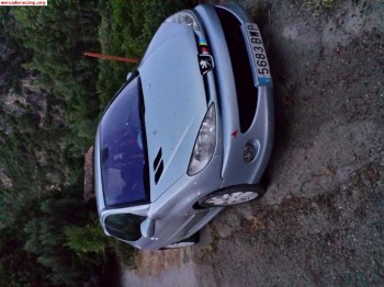 Cambio 206 gti por coche de rallys