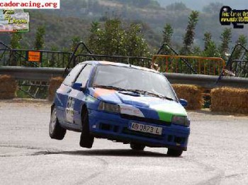 Renault clio williams