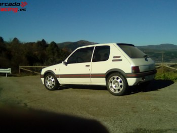 Se cambia 205 gti