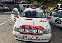 Clio williams gra