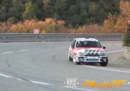 Renault clio grupo a