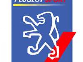 Compro 206 1.6 16v con averia o pekeño golpe