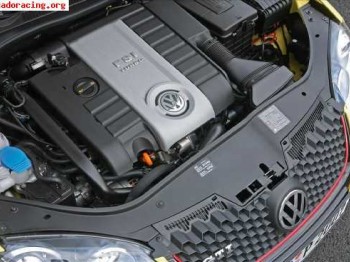 Motor golf v gti (200cv)