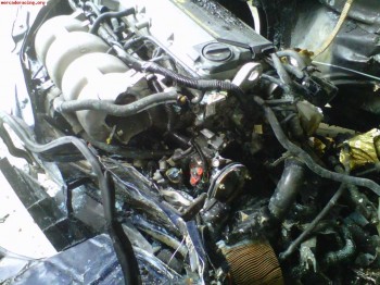 Siniestro clio williams