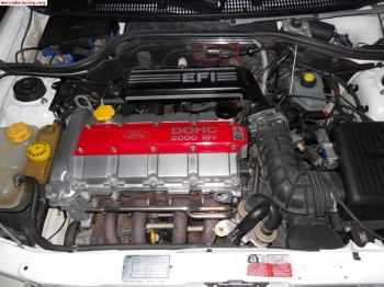 Siniestro escort rs 2000 - busco