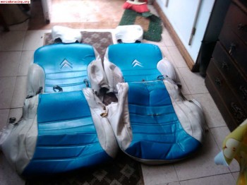 Fundas saxo a medida y filtro green storm