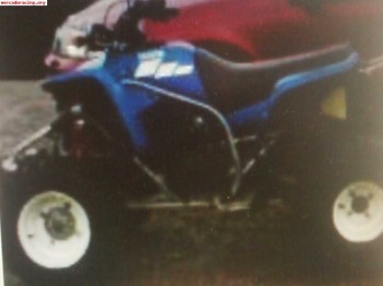 Yamaha blaster documentado para reparar o piezas economico