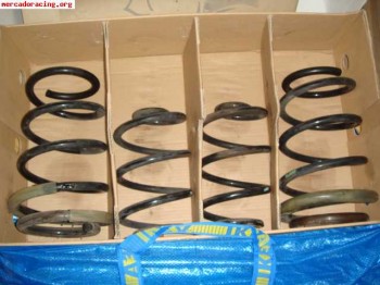 Muelles originales clio sport 197.