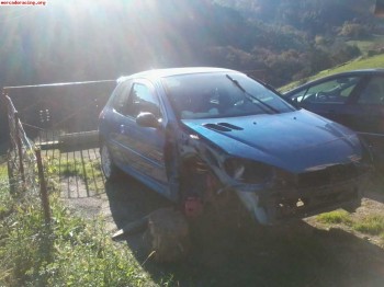 Despiece completo peugeot 206 1.6 16v 2004