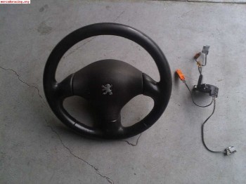 Eirbahg conductor 206 gti