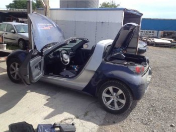 Smat roaster con pequeño golpe en una aleta.