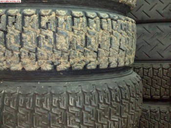 Escort rs2000 asfalto+tierra