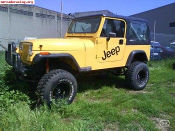 Jeep wrangler carroceria de fibra 9000€