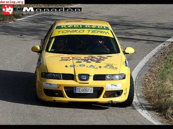 Se vende leon de rallys