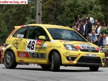 Ford fiesta st rally 