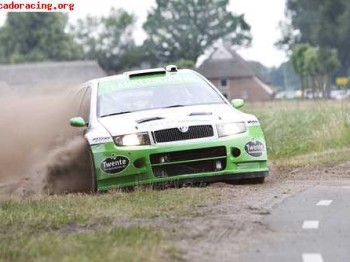 Skoda fabia wrc 