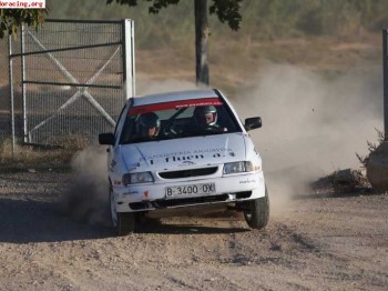 Seat ibiza de la copa