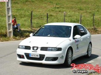 Leon cupra r. gr.n