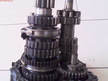 Cambio a crabots!!!!!!