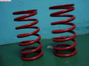 Muelles traseros seat 600