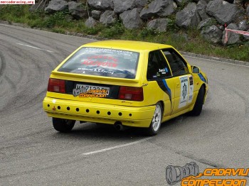 Se vende coche de rally 1200€