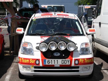 Kia picanto cup
