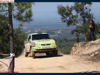 Se vende seat ibiza 2.0 16v gr  a  campeón españa 2rm 2010