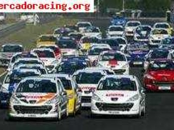 Se vende 207 rc thp de la copa peugeot de circuitos.