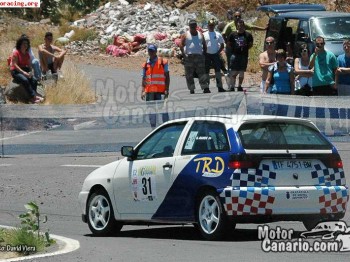 Seat ibiza cupra rallys