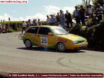 Seat ibiza cupra de la copa