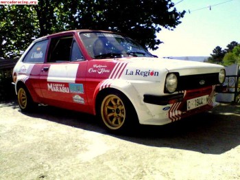 Ford fiesta grupo 2