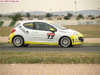 Se vende peugeot 207 thp 220cv de circuitos.