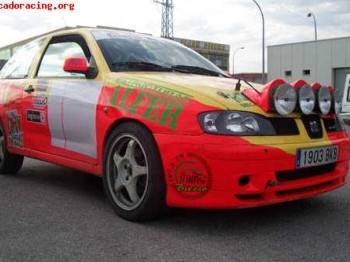 Seat ibiza copa