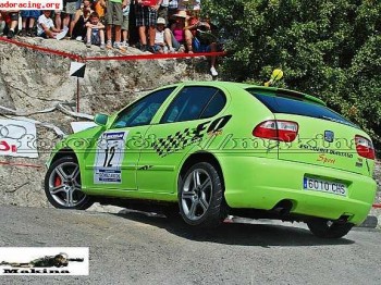Se vende o cambia seat leon tdi de rallyes