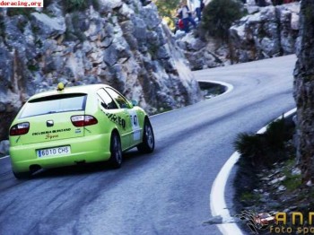 Se vende o cambia seat leon tdi de rallyes