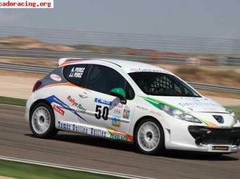 Vendo 207  thp de circuitos documentado o cambio por suzuki 