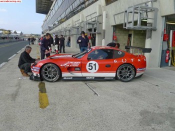 Ginetta g50 cto. españa de gt y vdev