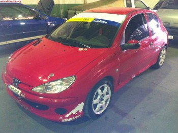 Vende 206 gr a ex desafio mejorado(buen precio)