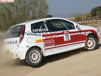 Fiat punto grupo a