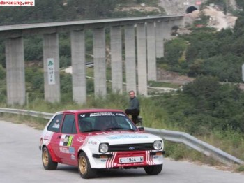Ford fiesta grupo 2