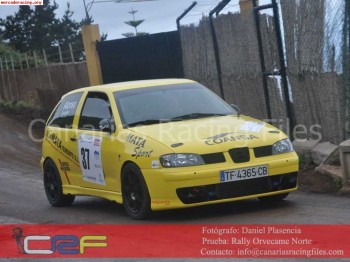 Seat ibiza grupo a