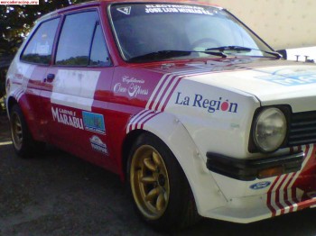 Ford fiesta grupo 2