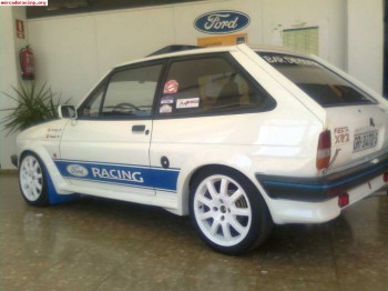 Ford fiesta xr2 rally