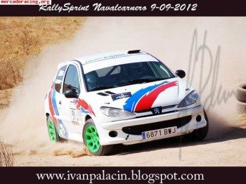 Cambio 206 desafio por coche de calle